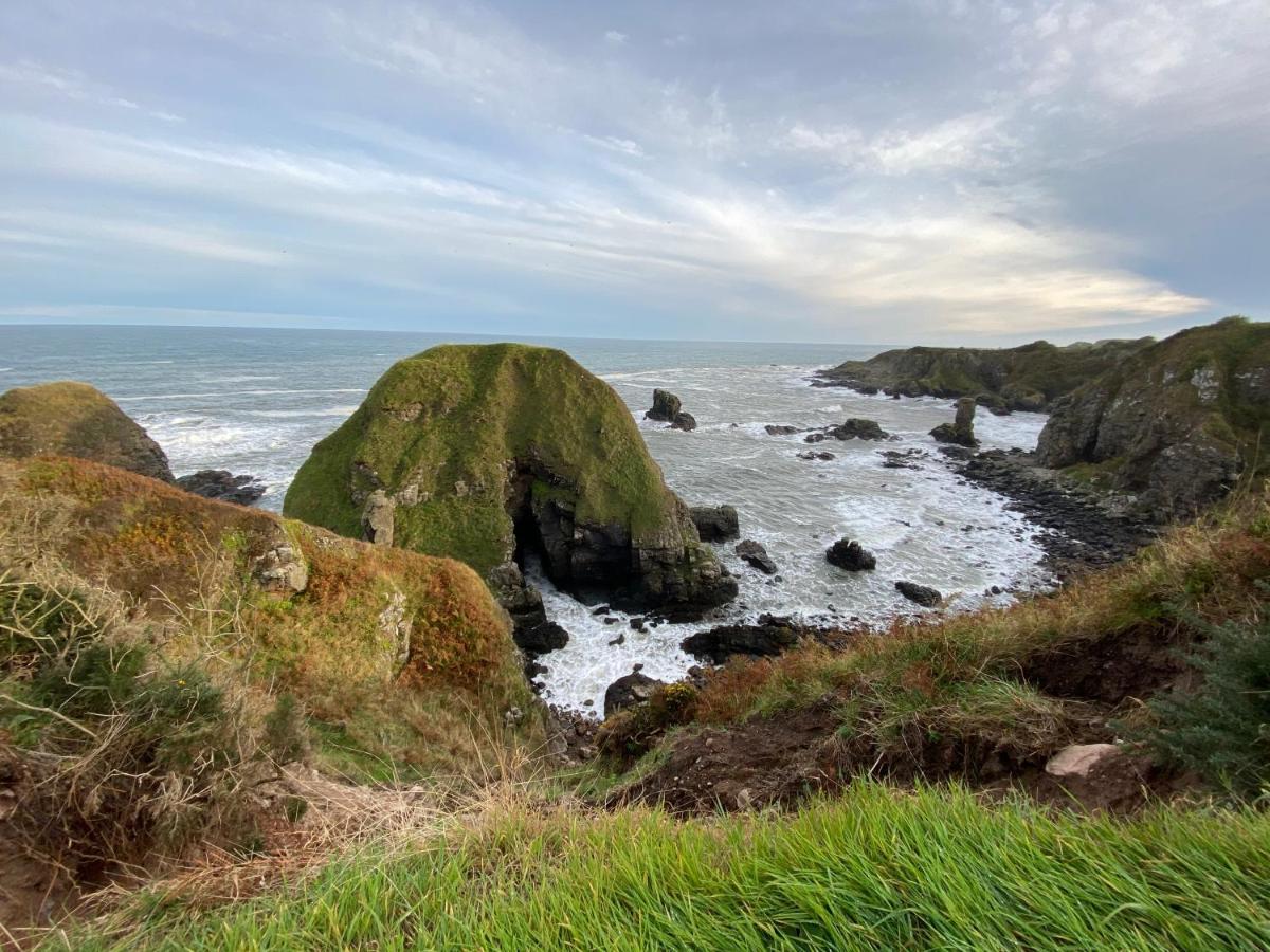Toadhall Rooms Muchalls Εξωτερικό φωτογραφία